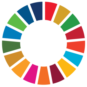 Governing SDG Interactions in East-Africa